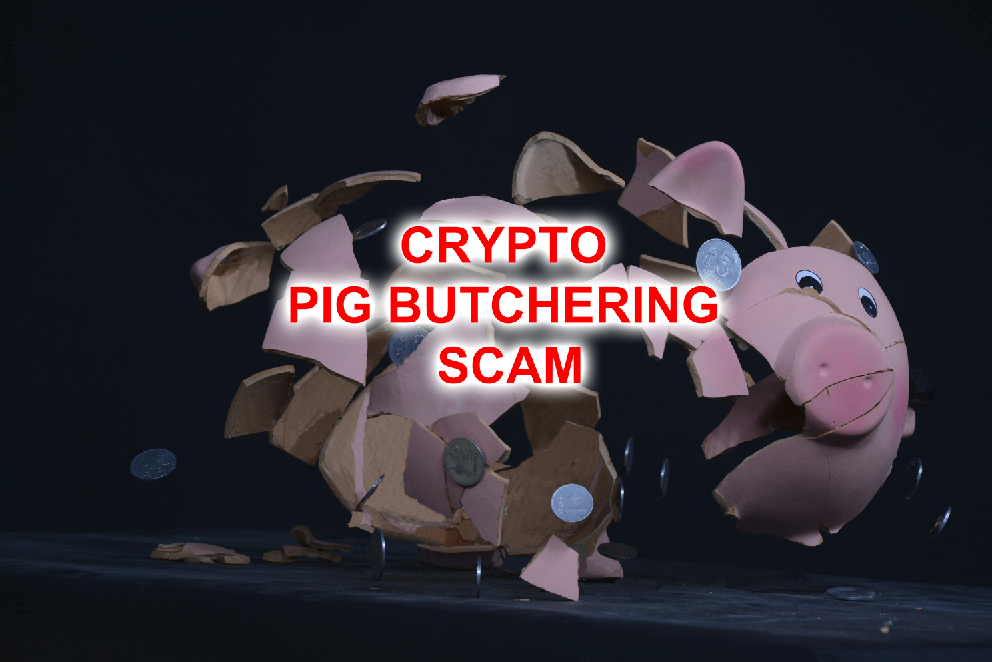 CRYPTO PIG BUTCHERING SCAM